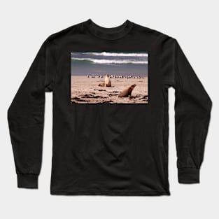 Sea Lions on the Beach Long Sleeve T-Shirt